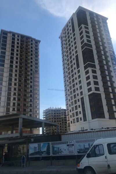 conoglu_kuzeyyildizi (3)