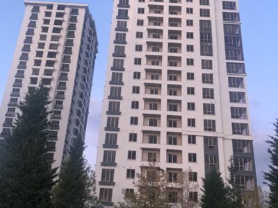 conoglu_kuzeyyildizi (5)