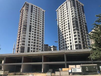 conoglu_kuzeyyildizi (6)