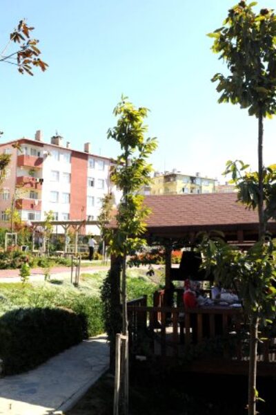 kestane-bahcesi-ilk-meyvelerini-verdi-3-3984216_osd